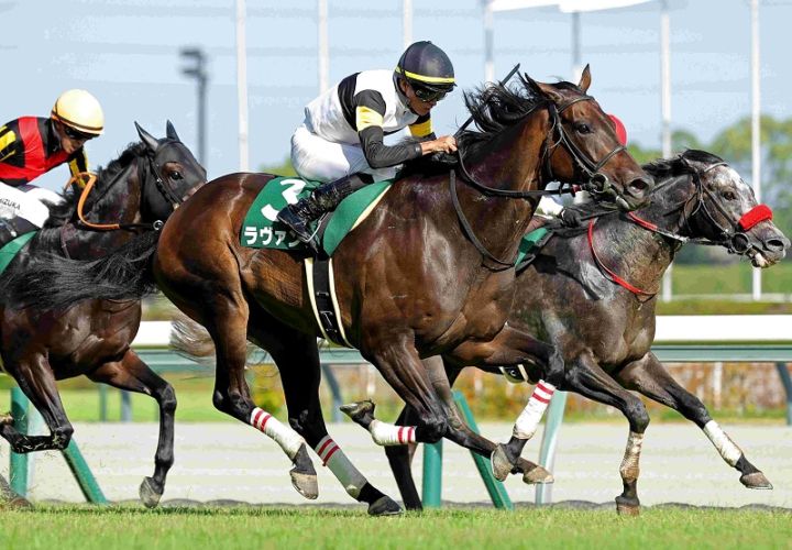 Ｒ8・中京記念レースパネル　ラヴァンダ