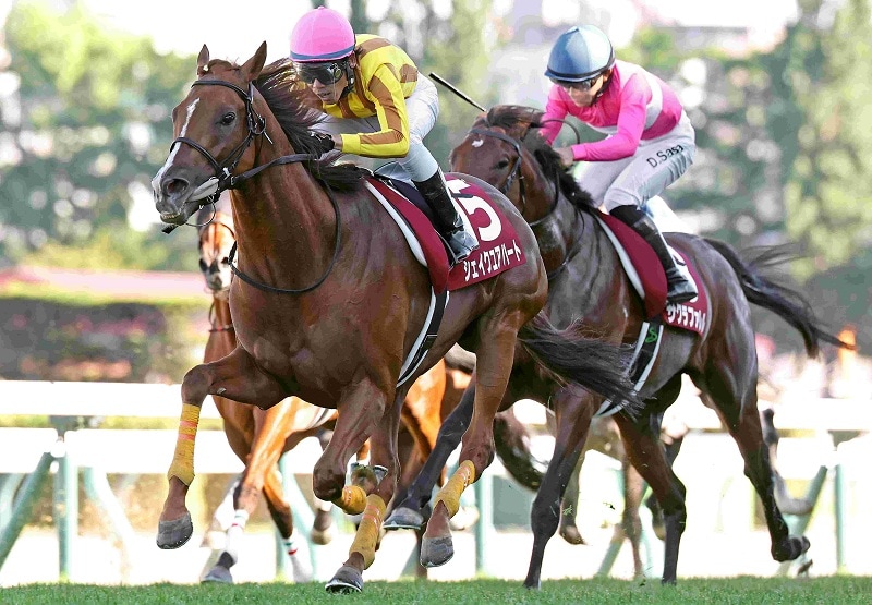 Ｒ8・札幌記念レースパネル　シェイクユアハート