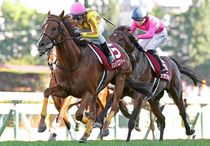 Ｒ8・札幌記念レースパネル　シェイクユアハート