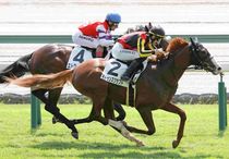 Ｒ8・メイクデビュー中京（8/23)2Rレースパネル　キトゥンズクラフト