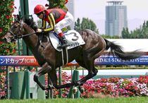 Ｒ8・メイクデビュー札幌（8/23)5Rレースパネル　ヴァンドレスト