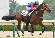 Ｒ8・メイクデビュー新潟（8/23)2Rレースパネル　タイヴァス