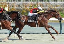 Ｒ8・名古屋城Sレースパネル　トリポリタニア