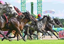 Ｒ8・朱鷺Sレースパネル　ショウナンザナドゥ