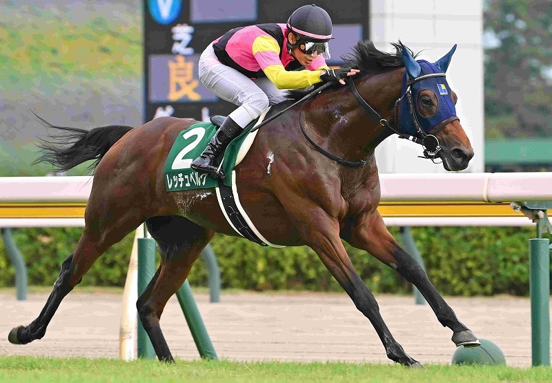 Ｒ8・新潟2歳Sレースパネル　レッチュベルク　　