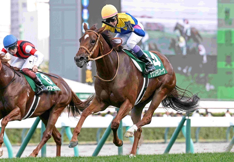 Ｒ8・キーンランドCレースパネル　サウンドモリアーナ　　