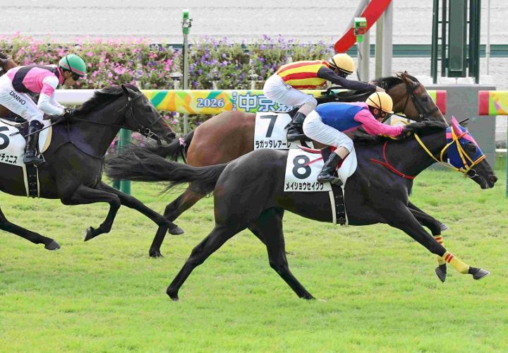 Ｒ8・メイクデビュー中京（8/30)2Rレースパネル　メイショウセイクウ