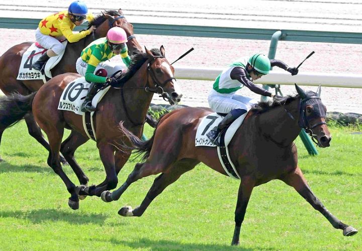 Ｒ8・メイクデビュー中京（8/30)3Rレースパネル　ゴーイントゥノヴァ