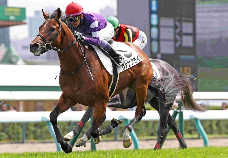 Ｒ8・メイクデビュー札幌（8/30)5Rレースパネル　ヴァンクライ