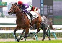 Ｒ8・メイクデビュー札幌（8/30)5Rレースパネル　ヴァンクライ