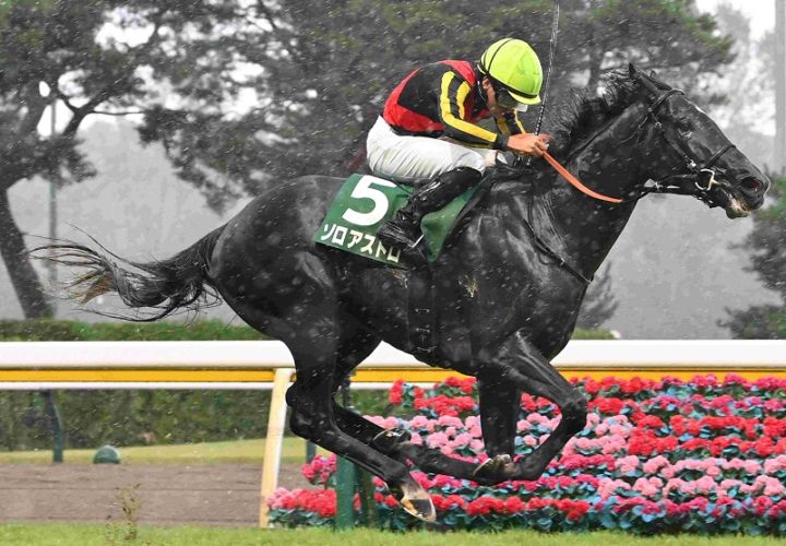 Ｒ8・新潟記念レースパネル　ゾロアストロ