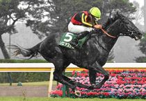 Ｒ8・新潟記念レースパネル　ゾロアストロ
