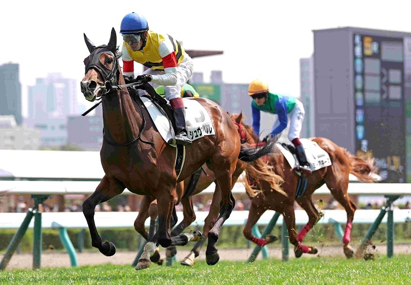 Ｒ8・メイクデビュー札幌（9/5)5Rレースパネル　シュヴァルツペルレ