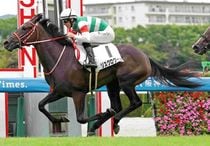Ｒ8・メイクデビュー阪神（9/6)5Rレースパネル　リスグロワール