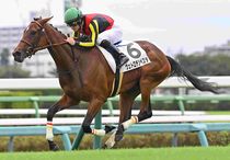 Ｒ8・メイクデビュー中山（9/5)5Rレースパネル　ヴェトロテンペスタ