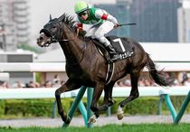 Ｒ8・丹頂Sレースパネル　コーチェラバレー