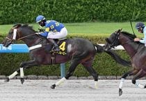 Ｒ8・エニフSレースパネル　ゴッドブルービー