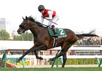 Ｒ8・札幌2歳Sレースパネル　ショウナンガレオン