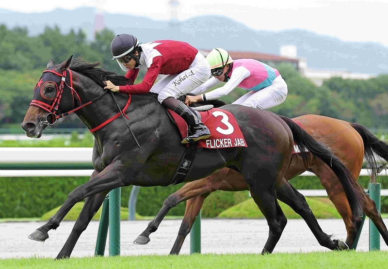 Ｒ8・産経賞セントウルSレースパネル　フリッカージャブ