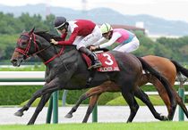 Ｒ8・産経賞セントウルSレースパネル　フリッカージャブ