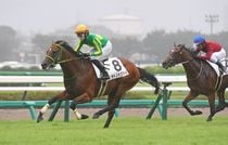 Ｒ8・メイクデビュー中山（9/12)5Rレースパネル　サトノハクマイ