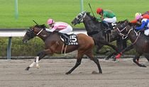 Ｒ8・ラジオ日本賞レースパネル　ユキマル