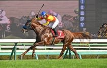 Ｒ8・セントライト記念レースパネル　ジャスティンシカゴ