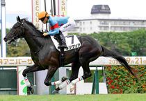 Ｒ8・メイクデビュー阪神（9/21)5Rレースパネル　キングリア