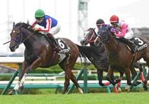 Ｒ8・カンナSレースパネル　ジオパークカツキ