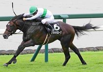 Ｒ8・野路菊Sレースパネル　ブラッドバローズ