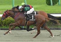 競馬,レース写真パネル | サンスポe-shop