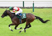 競馬,レース写真パネル | サンスポe-shop