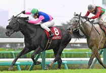 競馬,レース写真パネル | サンスポe-shop