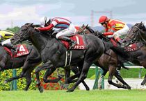 競馬,レース写真パネル | サンスポe-shop