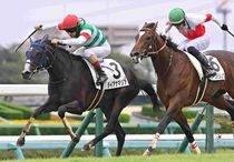 Ｒ8・メイクデビュー中山（9/27)5Rレースパネル　ダイアナマリア