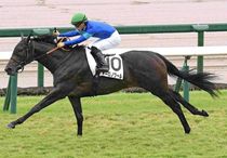 Ｒ8・メイクデビュー阪神（9/26)5Rレースパネル　ネーロノワール