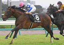 競馬,レース写真パネル | サンスポe-shop