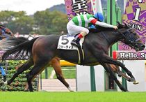 Ｒ8・メイクデビュー東京（10/4)6Rレースパネル　ジョーティス