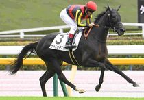Ｒ8・メイクデビュー東京（10/3)5Rレースパネル　ヴァルカモニカ