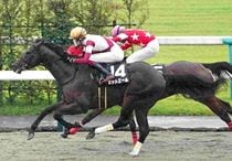 Ｒ8・藤森Sレースパネル　ゼットエール