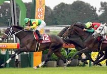 Ｒ8・京都大賞典レースパネル　エコロディノス