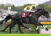 Ｒ8・毎日王冠レースパネル　セイウンハーデス