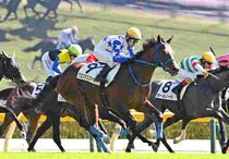 Ｒ8・メイクデビュー東京（10/11)5Rレースパネル　グロリアススマイル