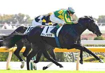 Ｒ8・メイクデビュー東京（10/10)5Rレースパネル　サトノカグラ