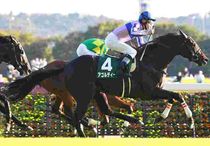 Ｒ8・サウジアラビアRCレースパネル　アゴルディーノ