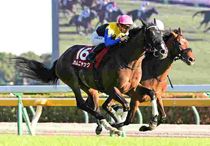 Ｒ8・アイルランドTレースパネル　カムニャック