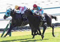 競馬,レース写真パネル | サンスポe-shop