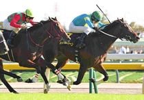 競馬,レース写真パネル | サンスポe-shop