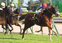 競馬,レース写真パネル | サンスポe-shop