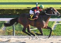 競馬,レース写真パネル | サンスポe-shop